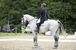 433-EN_TARO_DES_VERNIER-Oliver_Townend portfolio