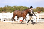 SBM_14264