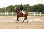 SBM_00461