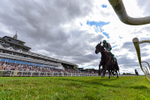 010826-Race 6-La Peregrina-4709