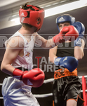 Bout - 3_Seb Fitzpatrick v Archie Brown-15