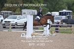 BPP_4185