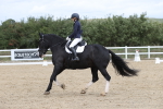 SBM_002977