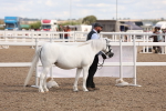 SBM_15027