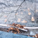 REFLECTIONS, NOVEMBER 2016
