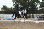 SBM_04954