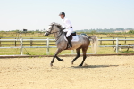 SBM_000297