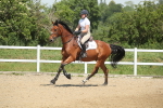SBM_012252