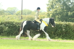 SBM_68989