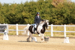 SBM_016753