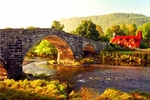 Llanrwst bridge in autumn C97-13-6