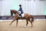 SBM_012121