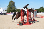 SBM_38779