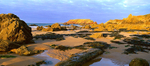 Morning Light at Marloes, Pembrokeshire EDC103