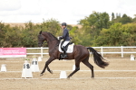 SBM_010977
