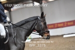 BPP_3375