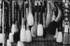 Brushes (Zhouzhuang)