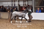 BPP_0136