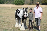 Class 40 Cheekiest Pony/Horse portfolio