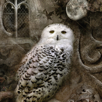 Evensong