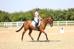SBM_009163