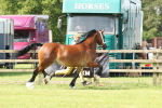 SBM_02220