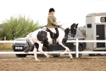 SBM_01355