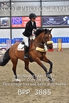 BPP_3885