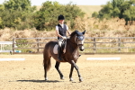 SBM_001424
