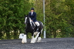 WJ5_8676