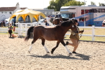 SBM_14091