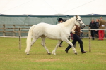SBM_04224