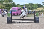 BPP_8511