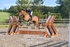 BPP_3871