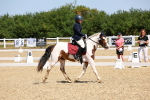 SBM_010695