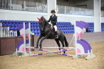 SBM_001447