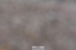 231104A-143140-00833
