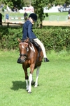 SBM_47146