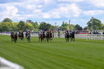 130526-Race 4-Elmonjed-2960