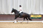 SBM_010184