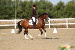 SBM_012788