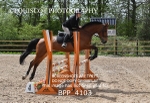 BPP_4103