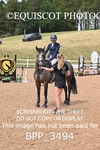 BPP_3494