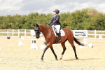 SBM_003768