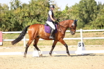 SBM_006709