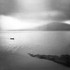 The Bay