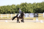 SBM_009175