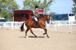 SBM_17487