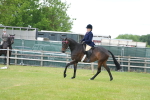 SBM_15956