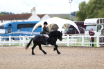 SBM_00369